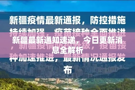 新疆最新通知速递,今日更新消息全解析