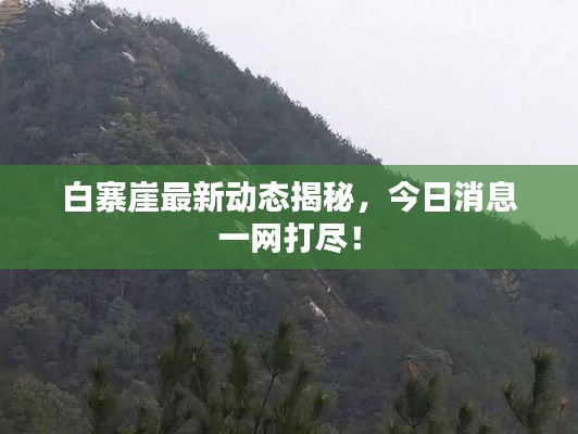 白寨崖最新动态揭秘,今日消息一网打尽!